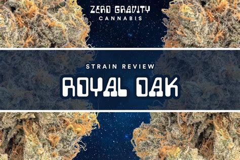 royal oak regular cannabis seeds